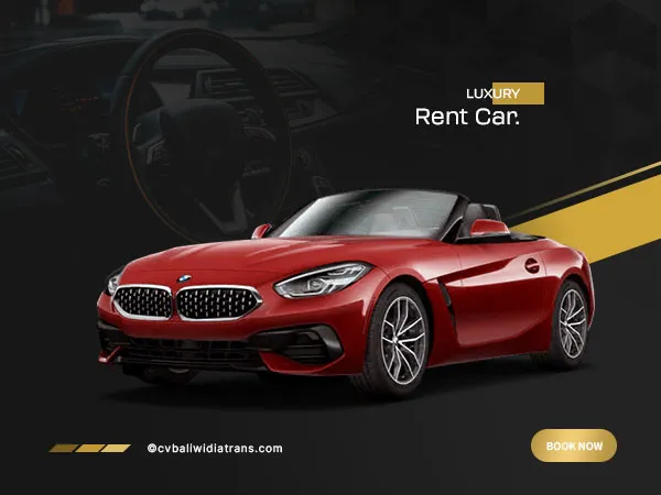 BMW Z4, photo 1