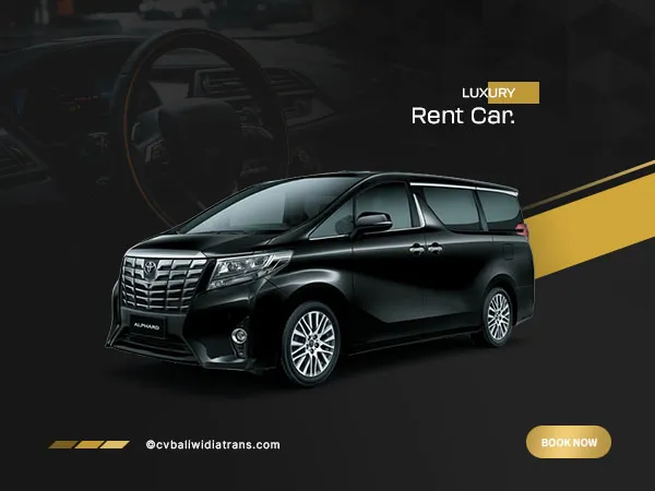 Toyota Alphard Transformer, foto 1